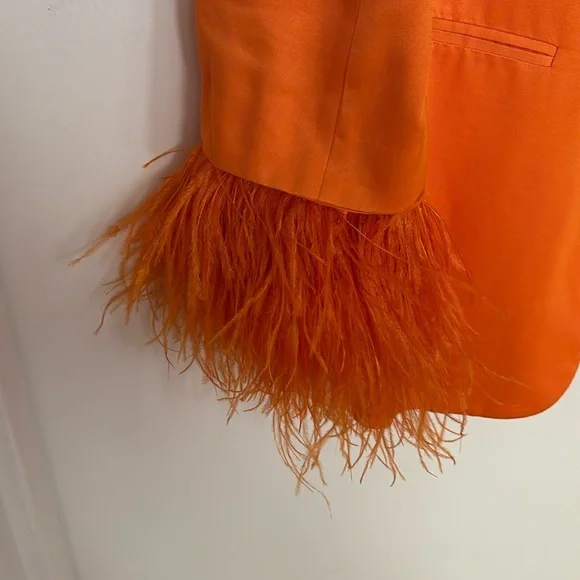 Zara Orange Satin Blazer with Feathers - Picture 6 of 8